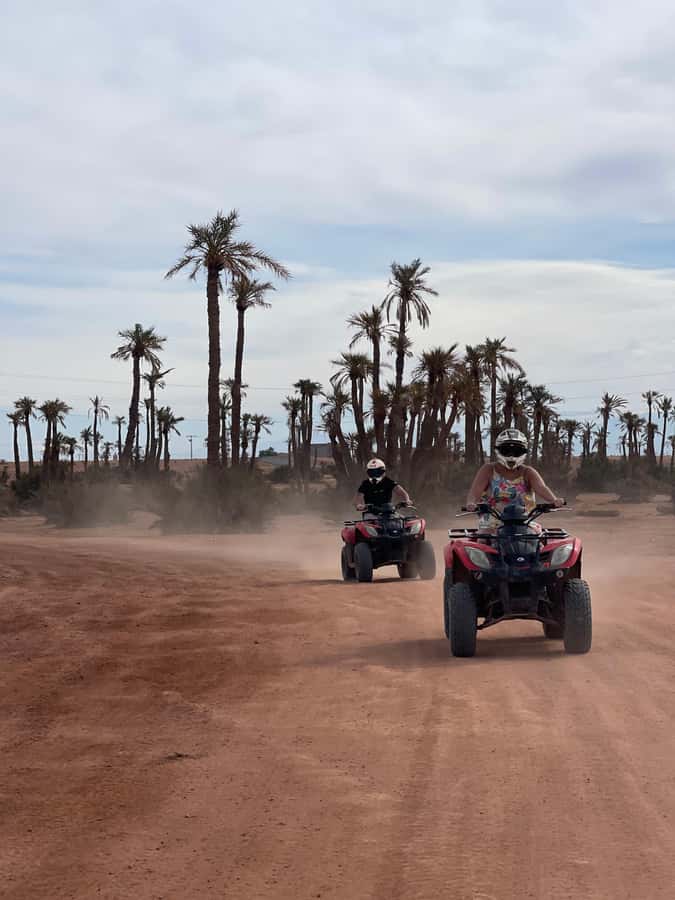 Quad biking in Marrakech's desert palm grove - Photo break opportunities in the palm groves