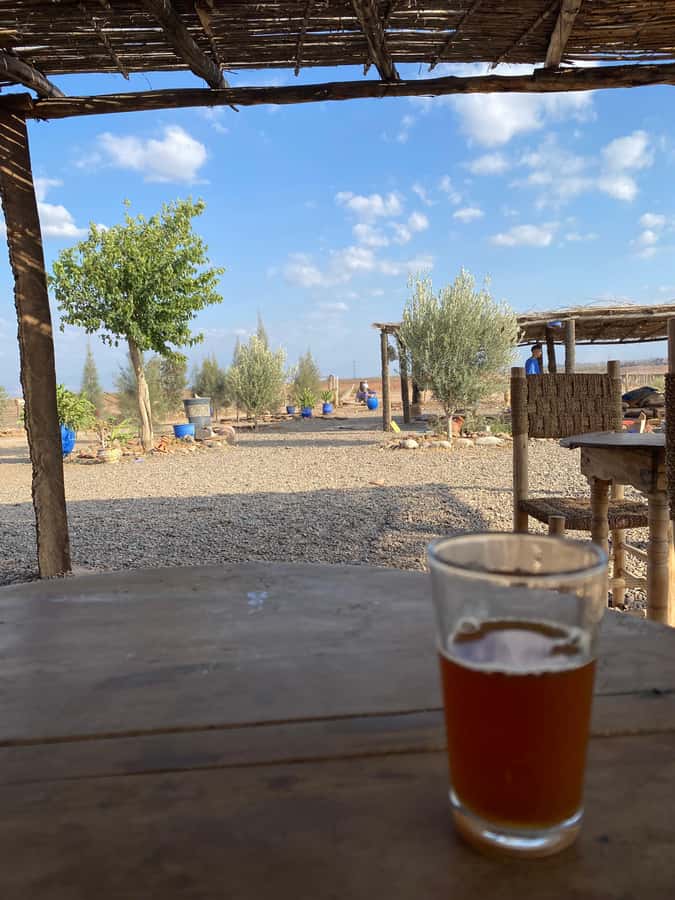 Quad biking in Marrakech's desert palm grove - The Moroccan mint tea moment, including the desert-view factor