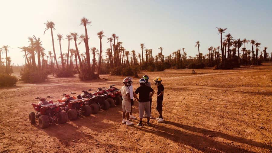 Quad biking in Marrakech's desert palm grove - How you get there: pickup, timing, and the flow of the session