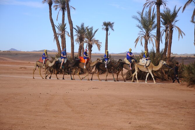 Quad Excursion in Marrakech with Pick-up from Hotel or Riad - Price and Value: What $22 Gets You in Real Terms