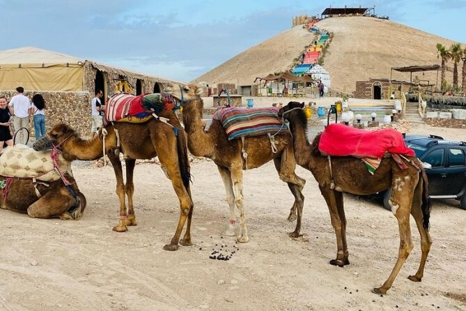 Quad excursion to the Agafay desert near Marrakech - Camel excursion in a Berber tent setup, plus the clothing moment