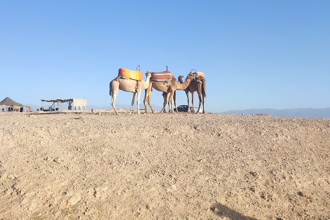 Quad excursion to the Agafay desert near Marrakech - Who should book Agafay expériences for this exact mix