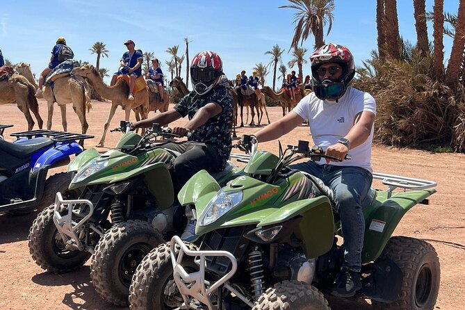Quad in the Palmeraie of Marrakech - Key Highlights You Shouldn’t Skip