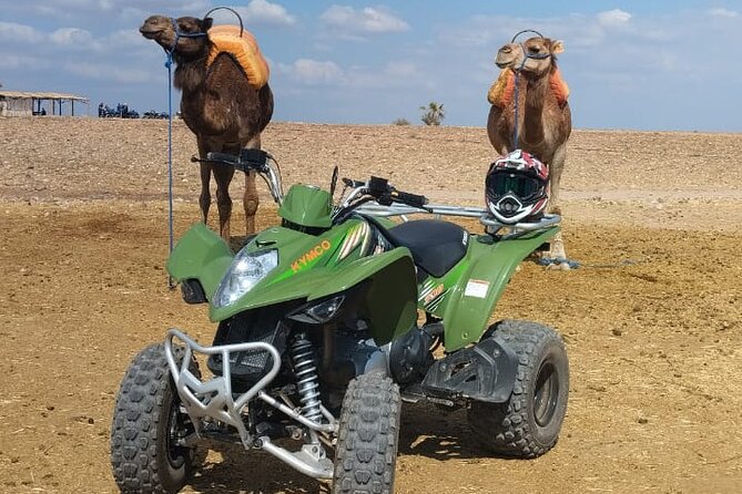 Quad in the Palmeraie of Marrakech - Why This Palmeraie Quad Tour Works So Well