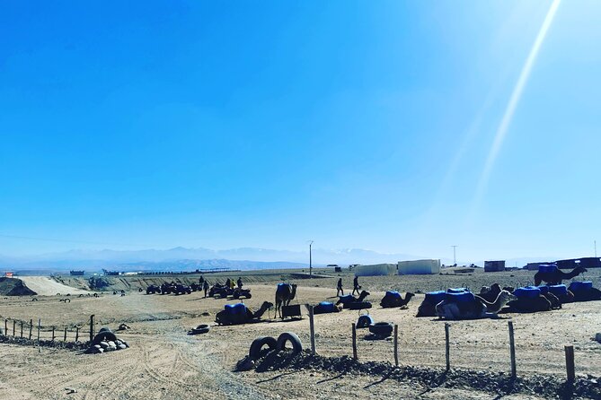 Quad Ride In The Agafay Desert - The Tea Break in a Desert Stop That Actually Feels Like Part of the Day