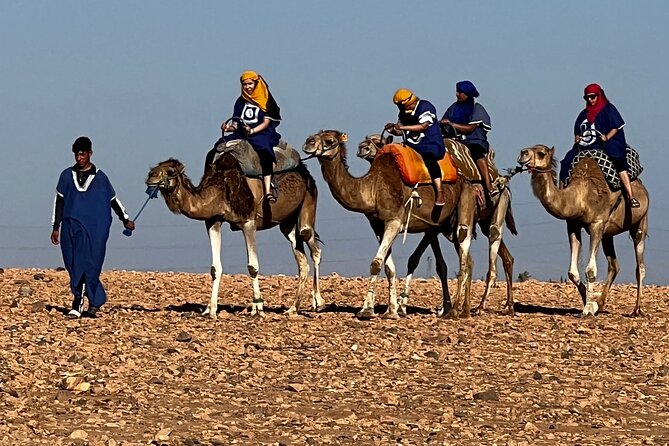Quad tour to La Palmeraie de Marrakech - Where the Value Actually Comes From (Not Just the Price)