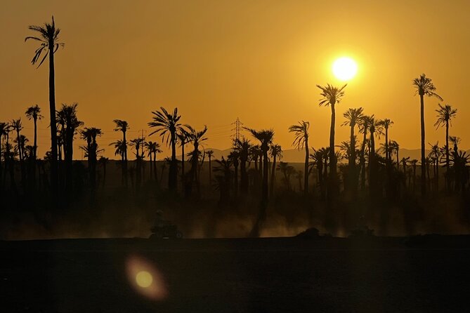 Quad tour to La Palmeraie de Marrakech - Safety Training Comes First, Then the Fun