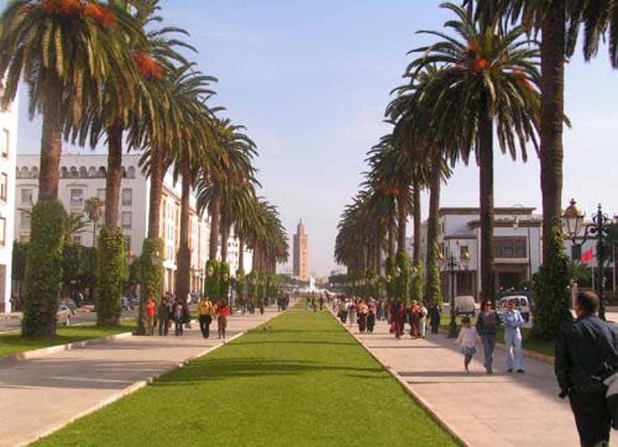 Rabat: Full-Day Trip from Casablanca - Mohammed V Mausoleum: the tiles do the talking