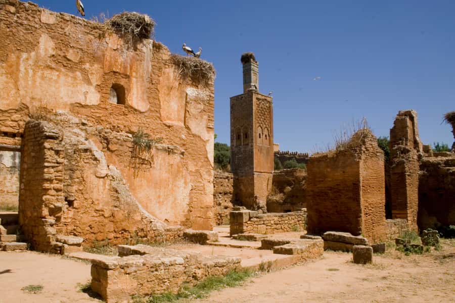 Rabat: Full-Day Trip from Casablanca - The 45-minute break in Rabat, plan your food around it