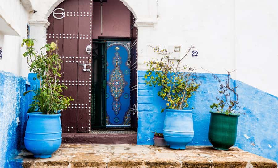 Rabat: Private Half-Day City Tour - Mohamed V Avenue: getting your bearings fast