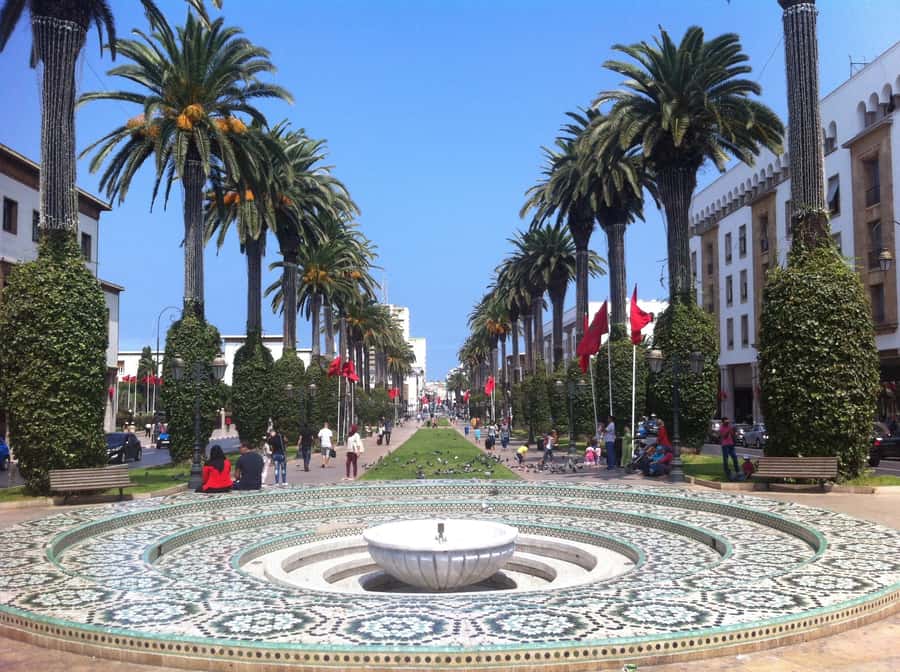 Rabat: Private Half-Day City Tour - The medina stroll: local life, but watch the time