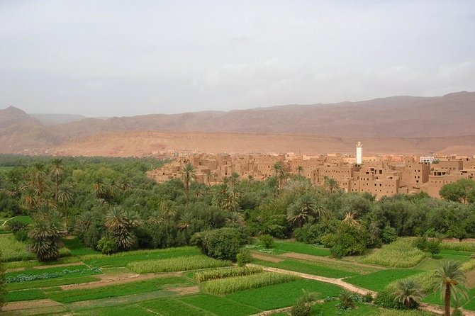 Sahara 3days/2nights mini-circuit - Price and logistics: where to spend, where to bring cash, and what can disappoint
