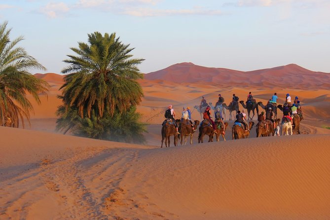 Sahara desert tour to Merzouga - 3 Days from Marrakech - Key Highlights You Should Care About