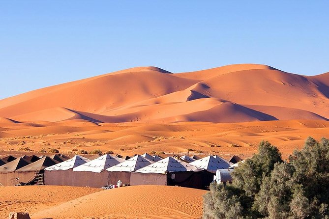 Sahara desert tour to Merzouga - 3 Days from Marrakech - Todra Gorge to Erg Chebbi: How Day 2 Builds to the Desert Moment