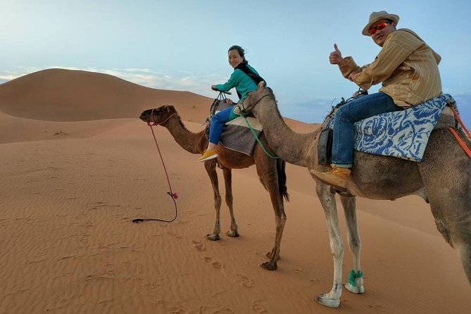 Sahara Desert Trip - 2 night 3 days - Fes to Marrakech OR Marrakech to Fes - Merzouga desert night: camel ride, Berber tent dinner, and real stargazing