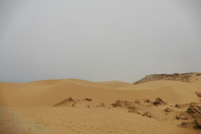 Sandboarding guided experience from Agadir - Tamri on the route: why the drive part matters