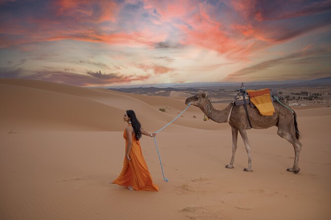 Sandboarding & Overnight in Merzouga Desert Camp Camel Trekking - Price and value: what $58.16 gets you, and what it does not