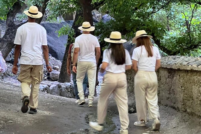 Scenic Camel Ride & Lunch by the Ourika River from Marrakech - Marrakech pickup and getting through the day without stress