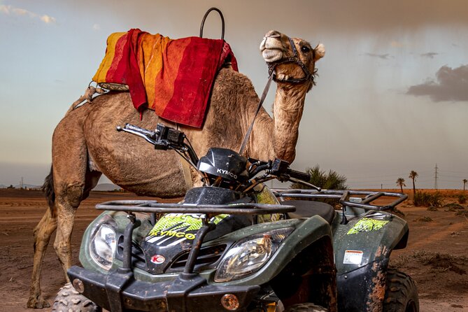 Sensational quad and camel ride in the palm grove - Tea break in local homes, then a short camel ride