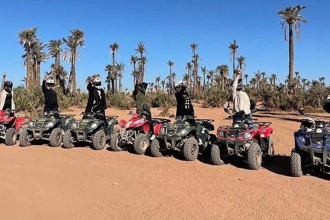 Sensational quad and camel ride in the palm grove - Who should book this, and who should think twice