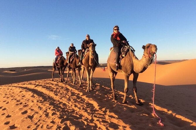 Shared Group 3 Days/2Nights: Fez to Marrakech Sahara Tour - Day 1 from Fez to Merzouga: cedar forests, Ifrane, and the Ziz Valley grind
