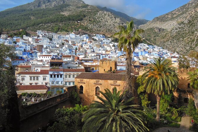 Shared Group Chefchaouen Day Trip from Fez - Grand Mosque Area and the Ethnographic Museum: A Useful Context Stop