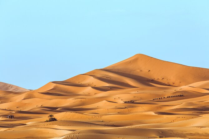 Shared Group Desert Tour Fes To Marrakech Via Merzouga 3 Days - Marrakech day: Ouarzazate area sights and the High Atlas drive
