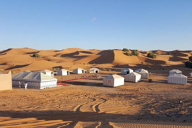 Shared Group Desert Tour Fez to Fez via Merzouga 2Days /1night - Merzouga Sunset Camel Trek and Camp Dinner Under the Stars