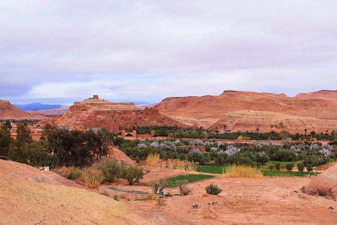 Shared Group Desert Tour from Marrakech for 3 days - Todra Gorges Before Merzouga, When the Canyon Walk Resets Your Mind