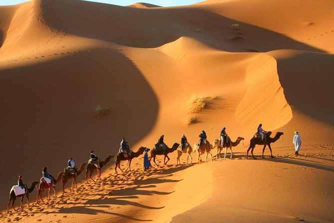 Shared Group Desert Tour from Marrakech for 3 days - Group Size, Pace, and the Style of Guidance You Should Expect