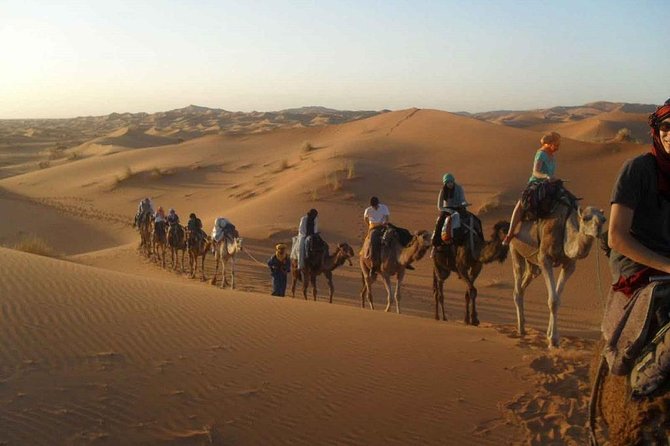 Shared group desert tour from Marrakech to Fes 3 Days - Day 3: Reaching Fes el-Bali and Turning the Trip Into Real City Time
