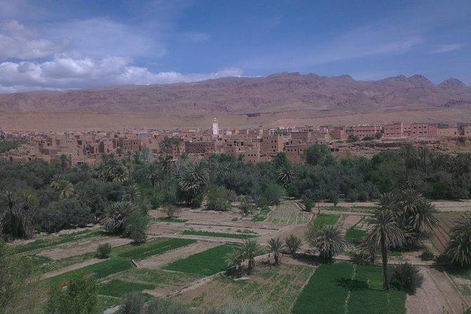 Shared group desert tour from Marrakech to Fes 3 Days - Price and Value: What $174.22 Covers (and What It Leaves Out)