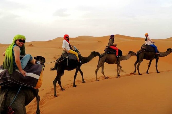 Shared group Fez to Fez Sahara tour 2Days/1Night - Fez to Merzouga in 2 Days, 1 Night, and Why It Works