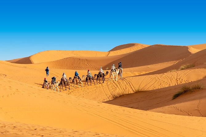 Shared group Fez to Fez Sahara tour 2Days/1Night - Reaching Merzouga: camels waiting and the 45-minute trek to camp