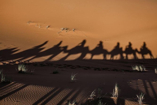 shared group Fez To Fez via Merzouga Desert Tour 2 Days/ 1 Night - Merzouga camel trek at sunset, camp dinner, and Berber show