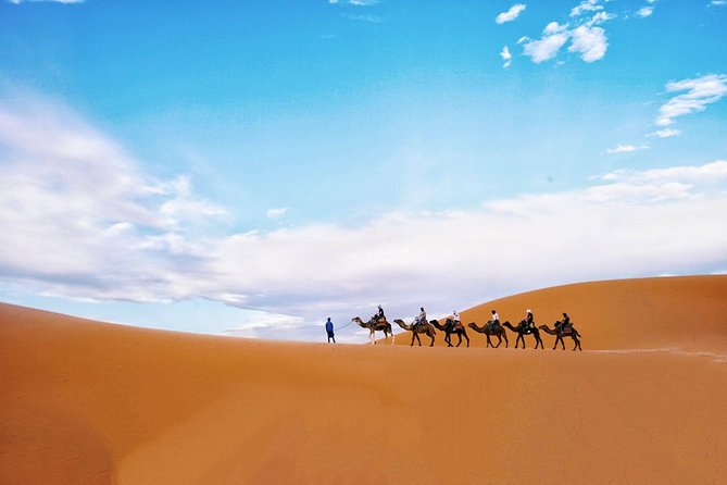 Shared Group Fez To Marrakech via Merzouga Desert Tour 2 Days - Camel sunset trek plus Berber fire pit dinner: the real memory-maker