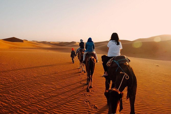 Shared Group Fez To Marrakech via Merzouga Desert Tour 2 Days - The long drive that actually earns its place: Ifrane, cedar forests, Midelt, and Ziz Valley