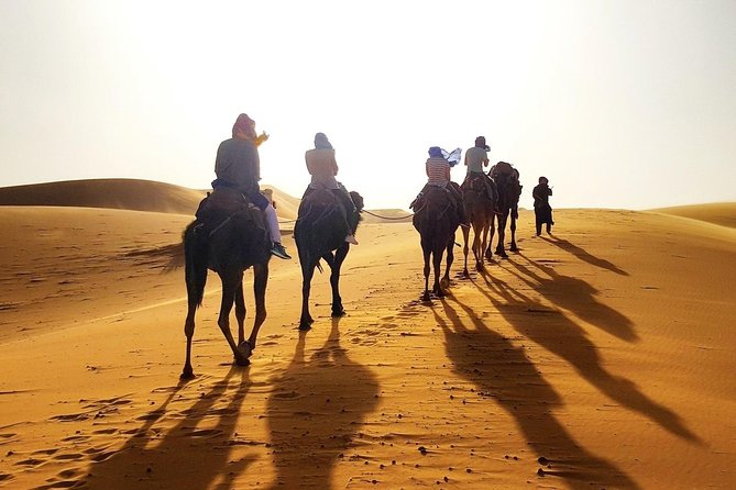 Shared Marrakech Desert Tour with Luxury camp - The luxury camp night: fire, music, and star time