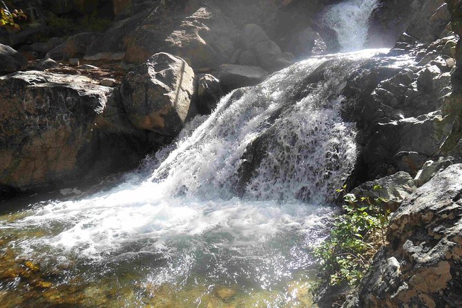 Shared trip : Day trip to Ourika Valley Atlas Mountains - Who Should Book This Day Trip From Marrakech?