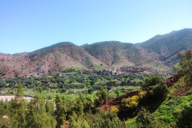 Shared trip : Day trip to Ourika Valley Atlas Mountains - The Guide Factor: Why Hassan’s Style Gets Mentioned Again and Again