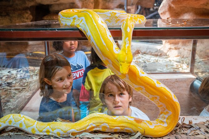 Skip the Line Ticket to Crocoparc with Optional Transfert - Facilities inside Crocoparc: WiFi, cafe, and the souvenir shop