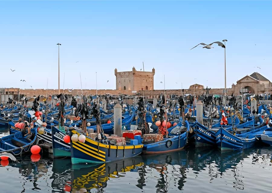Small-Group Day Trip from Marrakech to Essaouira Mogador - Pickup timing and the road schedule (so you plan your day, not just endure it)