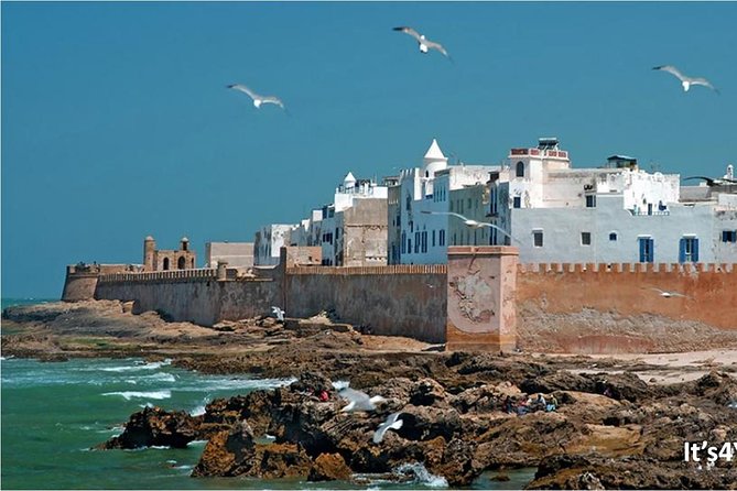 Small-group Day Trip to Essaouira from Marrakech - Thuya Wood and Cedar Workshops: Crafts with a Story