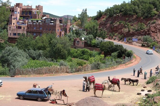 Small Group Day Trip to Ourika Valley & Atlas Mountains - Comfort tips: shoes, timing, and making the most of a long day