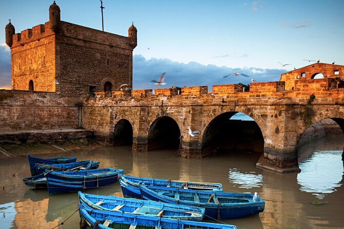 Small Group Essaouira Mogador Day Trip From Marrakech - Small-group size and value: why the price works (and where it does not)
