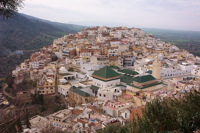 Small Group: From Fez to Volubilis -Mouly Idriss and Meknes day trip - Meknes route stops and the imperial-city feel
