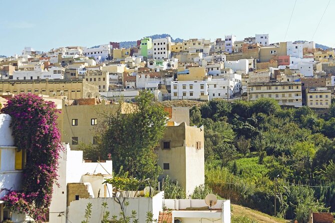 Small-Group Full-Day Meknes, Volubilis and Moulay Idriss Zerhoun Tour from Fez - How the Day Feels: Smart Stops Without the Big-Tour Chaos