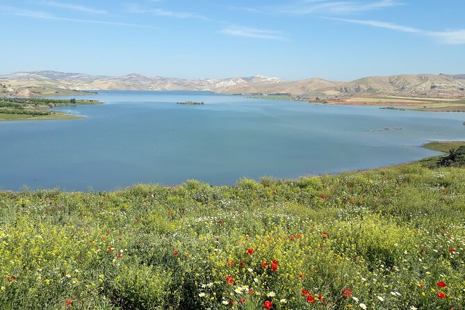 Small-Group Full-Day Meknes, Volubilis and Moulay Idriss Zerhoun Tour from Fez - Dar Jamai Museum: Moroccan Art as a Nice Way to Cool Down