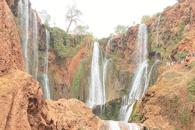 Small group Ouzoud Waterfall Guided Tour Boat Ride from Marrakech - Why Ouzoud Falls Is Worth the 8:00 am Start