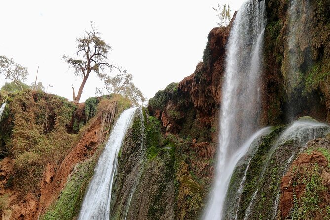 Small group Ouzoud Waterfall Guided Tour Boat Ride from Marrakech - The Boat Ride Under the Falls: The Highlight That Changes Everything
